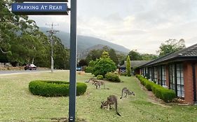 Golden Chain Country Plaza Motel Halls Gap